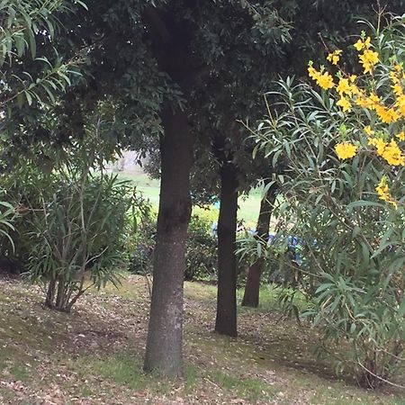 Appartamento Dell Agriturismo Pane E Olio トーディ エクステリア 写真