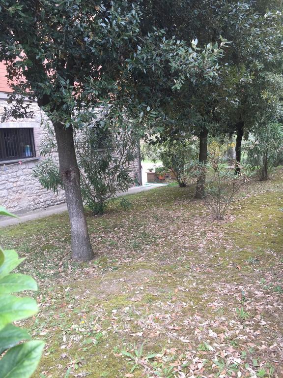 Appartamento Dell Agriturismo Pane E Olio トーディ エクステリア 写真