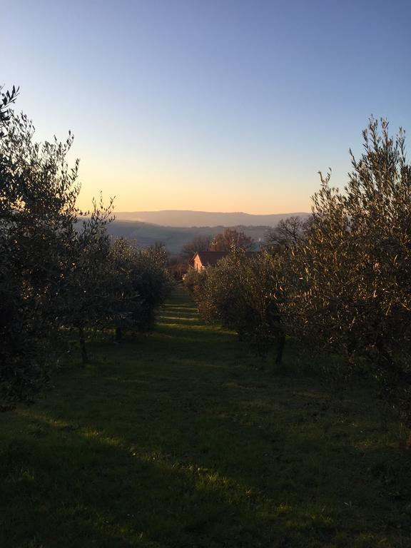 Appartamento Dell Agriturismo Pane E Olio トーディ エクステリア 写真